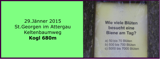 29.Jnner 2015 St.Georgen im Attergau Keltenbaumweg Kogl 680m
